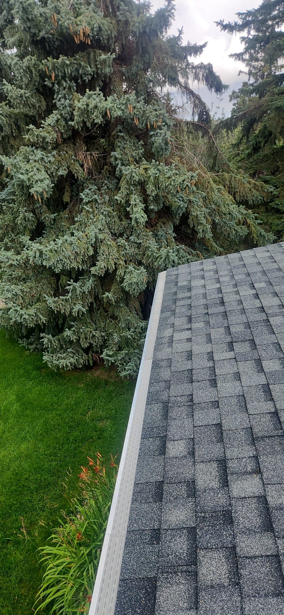 Gutter with solid surface cover guard
